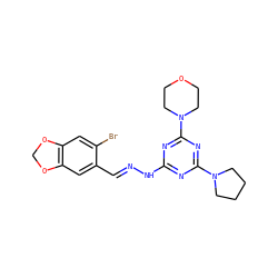 Brc1cc2c(cc1/C=N/Nc1nc(N3CCCC3)nc(N3CCOCC3)n1)OCO2 ZINC000008403555