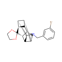 Brc1cccc(CN[C@@H]2[C@@H]3[C@H]4C[C@H]5[C@@H]6[C@@H]4[C@@H]2[C@@H]6C2(OCCO2)[C@H]53)c1 ZINC000261180675