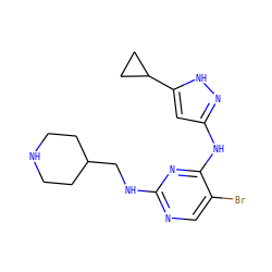 Brc1cnc(NCC2CCNCC2)nc1Nc1cc(C2CC2)[nH]n1 ZINC000203008695