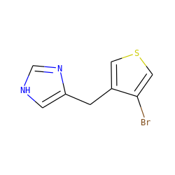 Brc1cscc1Cc1c[nH]cn1 ZINC000000008936