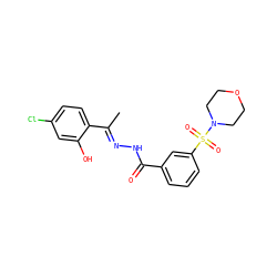 C/C(=N\NC(=O)c1cccc(S(=O)(=O)N2CCOCC2)c1)c1ccc(Cl)cc1O ZINC000103299518