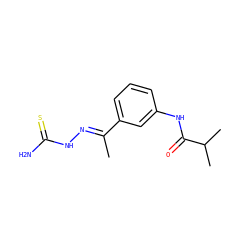 C/C(=N\NC(N)=S)c1cccc(NC(=O)C(C)C)c1 ZINC000299856016