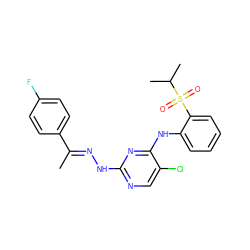 C/C(=N\Nc1ncc(Cl)c(Nc2ccccc2S(=O)(=O)C(C)C)n1)c1ccc(F)cc1 ZINC001772624553