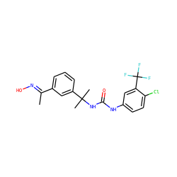 C/C(=N\O)c1cccc(C(C)(C)NC(=O)Nc2ccc(Cl)c(C(F)(F)F)c2)c1 ZINC000095576894