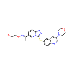 C/C(=N\OCCO)c1ccc2nnc(Sc3ccc4ncc(N5CCOCC5)cc4c3)n2c1 ZINC000205009345