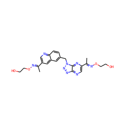 C/C(=N\OCCO)c1cnc2ccc(Cn3nnc4ncc(/C(C)=N/OCCO)nc43)cc2c1 ZINC000096170374