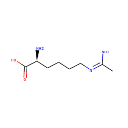 C/C(N)=N/CCCC[C@H](N)C(=O)O ZINC000001886326