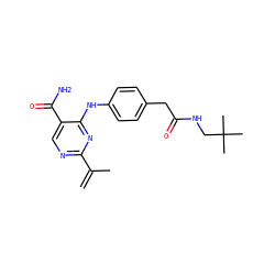 C=C(C)c1ncc(C(N)=O)c(Nc2ccc(CC(=O)NCC(C)(C)C)cc2)n1 ZINC000096938267