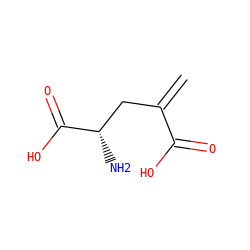 C=C(C[C@H](N)C(=O)O)C(=O)O ZINC000000895334