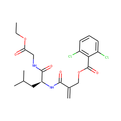 C=C(COC(=O)c1c(Cl)cccc1Cl)C(=O)N[C@@H](CC(C)C)C(=O)NCC(=O)OCC ZINC000084635135
