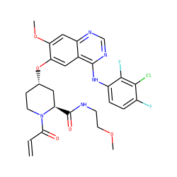C=CC(=O)N1CC[C@H](Oc2cc3c(Nc4ccc(F)c(Cl)c4F)ncnc3cc2OC)C[C@H]1C(=O)NCCOC ZINC000166355239