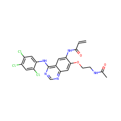 C=CC(=O)Nc1cc2c(Nc3cc(Cl)c(Cl)cc3Cl)ncnc2cc1OCCNC(C)=O ZINC000143469112