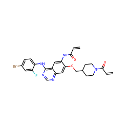 C=CC(=O)Nc1cc2c(Nc3ccc(Br)cc3F)ncnc2cc1OCC1CCN(C(=O)C=C)CC1 ZINC000137864002
