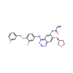 C=CC(=O)Nc1cc2c(Nc3ccc(OCc4cccc(F)c4)c(Cl)c3)ncnc2cc1O[C@H]1CCOC1 ZINC000203760195