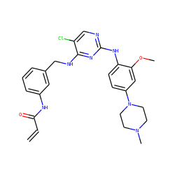 C=CC(=O)Nc1cccc(CNc2nc(Nc3ccc(N4CCN(C)CC4)cc3OC)ncc2Cl)c1 ZINC000263621089