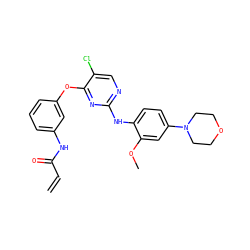 C=CC(=O)Nc1cccc(Oc2nc(Nc3ccc(N4CCOCC4)cc3OC)ncc2Cl)c1 ZINC000066104531