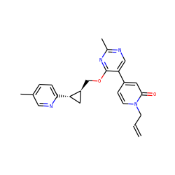 C=CCn1ccc(-c2cnc(C)nc2OC[C@H]2C[C@@H]2c2ccc(C)cn2)cc1=O ZINC000209427142