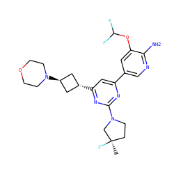 C[C@@]1(F)CCN(c2nc(-c3cnc(N)c(OC(F)F)c3)cc([C@H]3C[C@H](N4CCOCC4)C3)n2)C1 ZINC000653661110