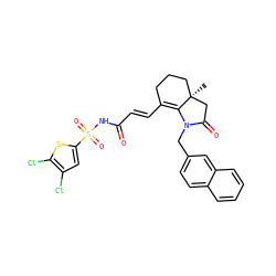 C[C@@]12CCCC(/C=C/C(=O)NS(=O)(=O)c3cc(Cl)c(Cl)s3)=C1N(Cc1ccc3ccccc3c1)C(=O)C2 ZINC000049867628
