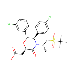 C[C@@H](CS(=O)(=O)C(C)(C)C)N1C(=O)[C@@H](CC(=O)O)O[C@H](c2cccc(Cl)c2)[C@H]1c1ccc(Cl)cc1 ZINC000169307590