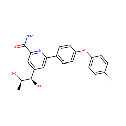 C[C@@H](O)[C@H](O)c1cc(C(N)=O)nc(-c2ccc(Oc3ccc(F)cc3)cc2)c1 ZINC000114627409