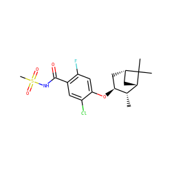 C[C@@H]1[C@@H](Oc2cc(F)c(C(=O)NS(C)(=O)=O)cc2Cl)C[C@H]2C[C@@H]1C2(C)C ZINC000261133525