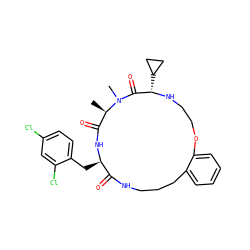 C[C@@H]1C(=O)N[C@H](Cc2ccc(Cl)cc2Cl)C(=O)NCCCc2ccccc2OCCN[C@@H](C2CC2)C(=O)N1C ZINC000114624821