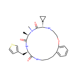 C[C@@H]1C(=O)N[C@H](Cc2ccsc2)C(=O)NCCCc2ccccc2OCCN[C@@H](C2CC2)C(=O)N1C ZINC001772595789