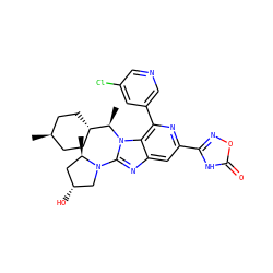 C[C@@H]1C[C@@H](O)CN1c1nc2cc(-c3noc(=O)[nH]3)nc(-c3cncc(Cl)c3)c2n1[C@H](C)[C@H]1CC[C@H](C)CC1 ZINC000261143885