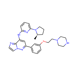 C[C@@H]1CCCN1c1cccc(Nc2cc(-c3cccc(OCCN4CCNCC4)c3)nn3ccnc23)n1 ZINC000207331538
