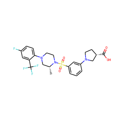 C[C@@H]1CN(c2ccc(F)cc2C(F)(F)F)CCN1S(=O)(=O)c1cccc(N2CC[C@H](C(=O)O)C2)c1 ZINC000053174576
