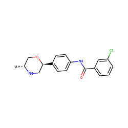 C[C@@H]1CO[C@@H](c2ccc(NC(=O)c3cccc(Cl)c3)cc2)CN1 ZINC000117722715