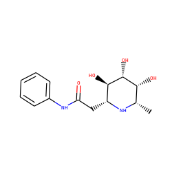 C[C@@H]1N[C@H](CC(=O)Nc2ccccc2)[C@@H](O)[C@H](O)[C@@H]1O ZINC000096286027