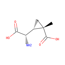 C[C@]1(C(=O)O)C[C@H]1[C@H](N)C(=O)O ZINC000095598647