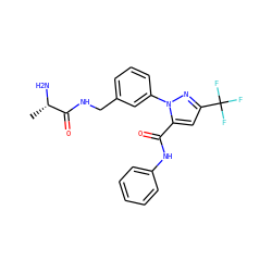 C[C@H](N)C(=O)NCc1cccc(-n2nc(C(F)(F)F)cc2C(=O)Nc2ccccc2)c1 ZINC000040405046