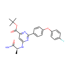 C[C@H](Nc1cc(C(=O)OC(C)(C)C)nc(-c2ccc(Oc3ccc(F)cc3)cc2)n1)C(N)=O ZINC000142379754