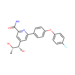 C[C@H](O)[C@@H](O)c1cc(C(N)=O)nc(-c2ccc(Oc3ccc(F)cc3)cc2)c1 ZINC000114627538