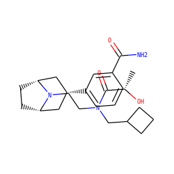 C[C@H](O)C(=O)N(CCN1[C@H]2CC[C@@H]1C[C@H](c1cccc(C(N)=O)c1)C2)CC1CCC1 ZINC000165756749