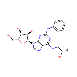 C[C@H](O)CNc1nc(Nc2ccccc2)nc2c1ncn2[C@H]1O[C@H](CO)[C@@H](O)[C@H]1O ZINC000048999245