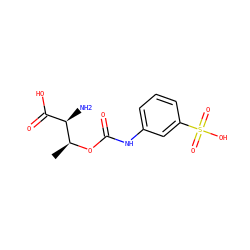 C[C@H](OC(=O)Nc1cccc(S(=O)(=O)O)c1)[C@H](N)C(=O)O ZINC000149318685