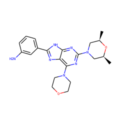 C[C@H]1CN(c2nc(N3CCOCC3)c3nc(-c4cccc(N)c4)[nH]c3n2)C[C@@H](C)O1 ZINC000144030747