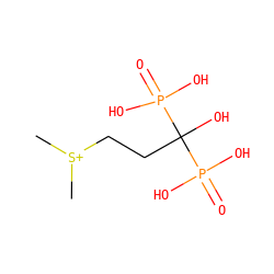 C[S+](C)CCC(O)(P(=O)(O)O)P(=O)(O)O ZINC000028862527