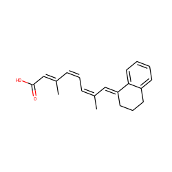 CC(=C/C=C\C(C)=C\C(=O)O)/C=C1\CCCc2ccccc21 ZINC000029399385