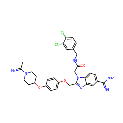 CC(=N)N1CCC(Oc2ccc(OCc3nc4cc(C(=N)N)ccc4n3CC(=O)NCc3ccc(Cl)c(Cl)c3)cc2)CC1 ZINC000028375624