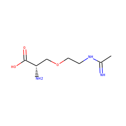CC(=N)NCCOC[C@H](N)C(=O)O ZINC000027655168