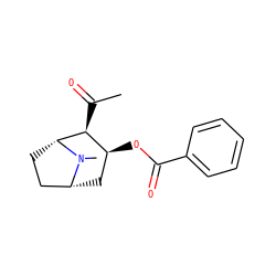 CC(=O)[C@H]1[C@@H](OC(=O)c2ccccc2)C[C@@H]2CC[C@H]1N2C ZINC000013834832