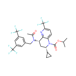 CC(=O)N(Cc1cc(C(F)(F)F)cc(C(F)(F)F)c1)[C@H]1C[C@@H](C2CC2)N(C(=O)OC(C)C)c2ccc(C(F)(F)F)nc21 ZINC000084596662