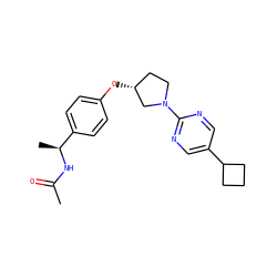 CC(=O)N[C@@H](C)c1ccc(O[C@@H]2CCN(c3ncc(C4CCC4)cn3)C2)cc1 ZINC000261192334