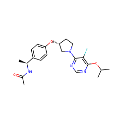 CC(=O)N[C@@H](C)c1ccc(O[C@@H]2CCN(c3ncnc(OC(C)C)c3F)C2)cc1 ZINC000261092619