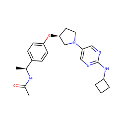 CC(=O)N[C@@H](C)c1ccc(O[C@H]2CCN(c3cnc(NC4CCC4)nc3)C2)cc1 ZINC000261163933
